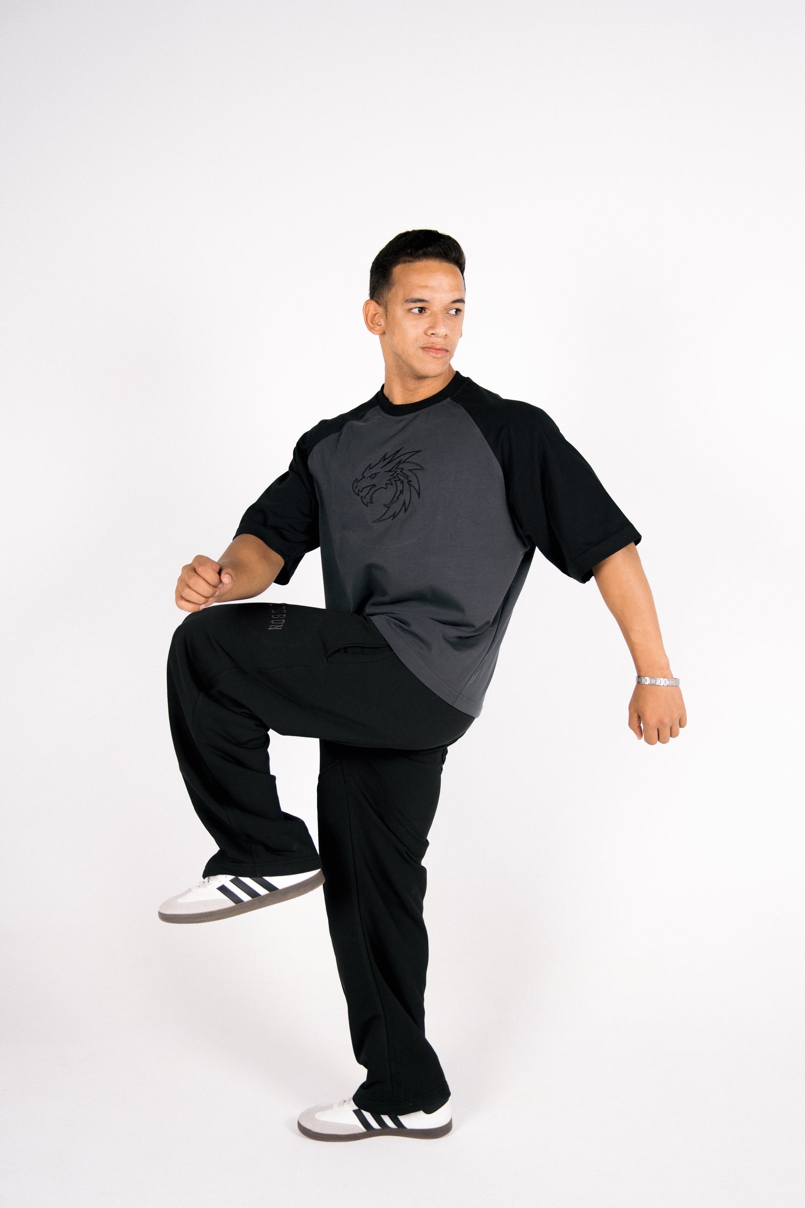 Box Fit Raglan Tee